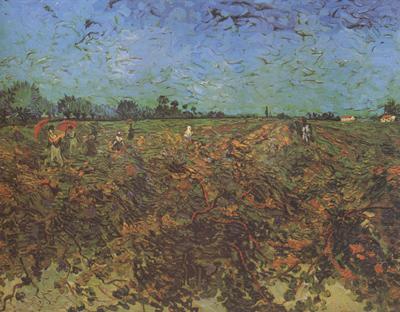 Vincent Van Gogh The Green Vineyard (nn04) china oil painting image